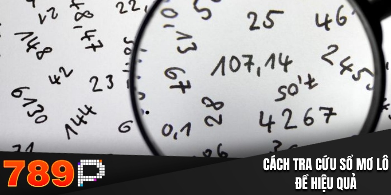 Cách tra cứu sử dụng sổ mơ chi tiết