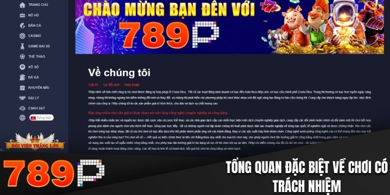 Tổng quan đặc biệt về chơi có trách nhiệm