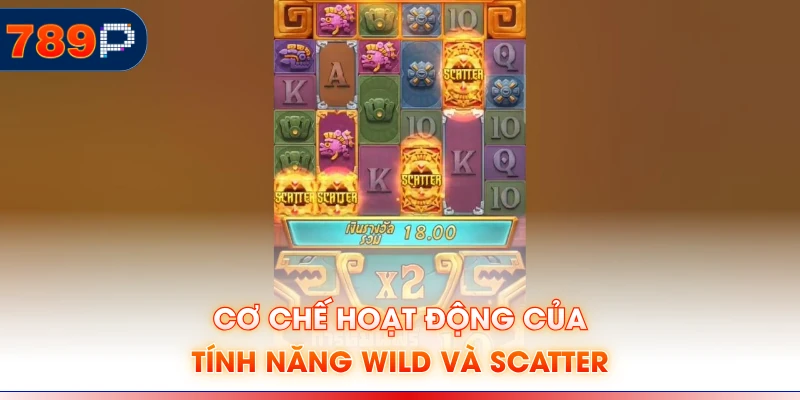 Cơ chế hoạt động của tính năng wild và scatter