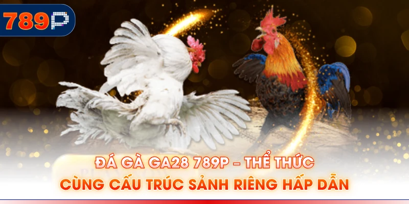 Đá Gà GA28 789P – Thể Thức Cùng Cấu Trúc Sảnh Riêng Hấp Dẫn