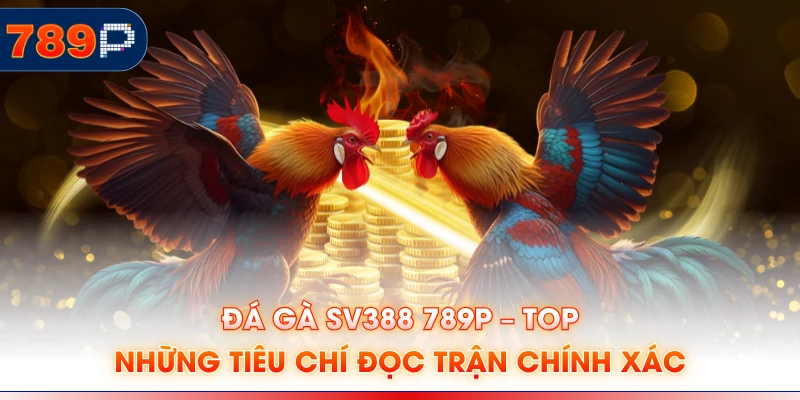 Đá Gà SV388 789P – Top Những Tiêu Chí Đọc Trận Chính Xác