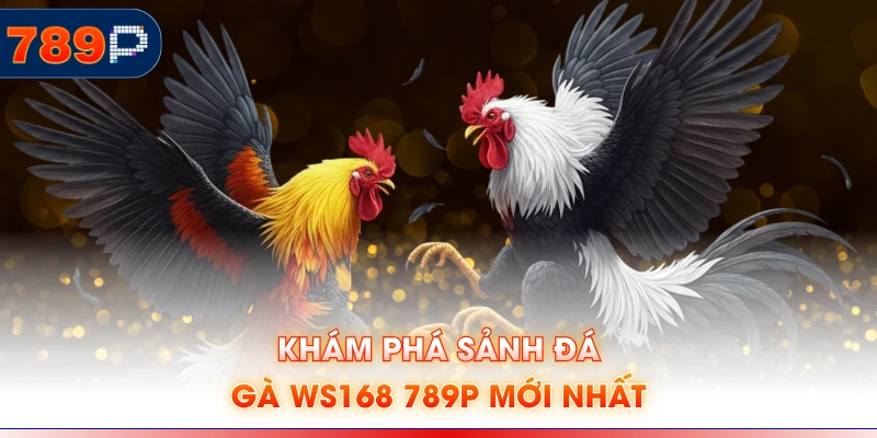 Khám phá sảnh đá gà WS168 789P mới nhất