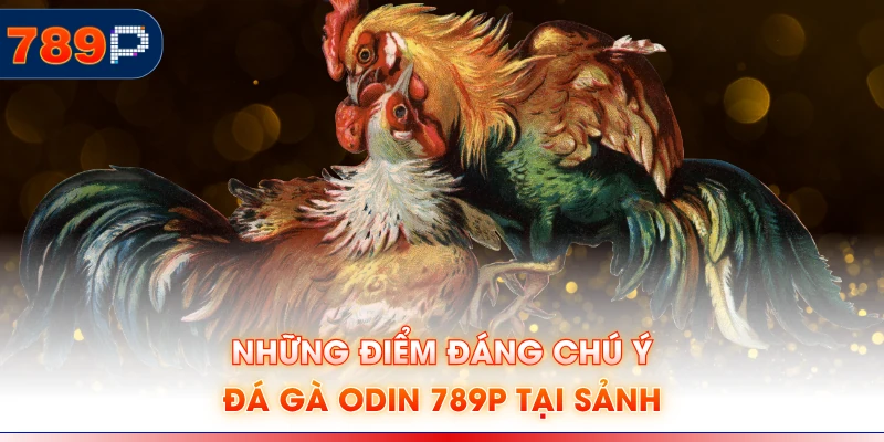 Những điểm đáng chú ý đá gà Odin 789P tại sảnh